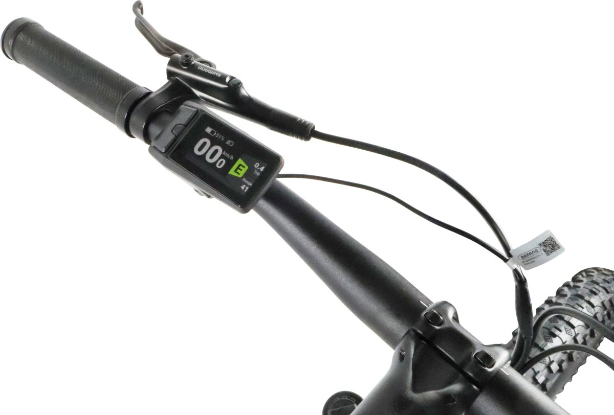 Indiana E-MTB 2.0 M21 Czarny 29"