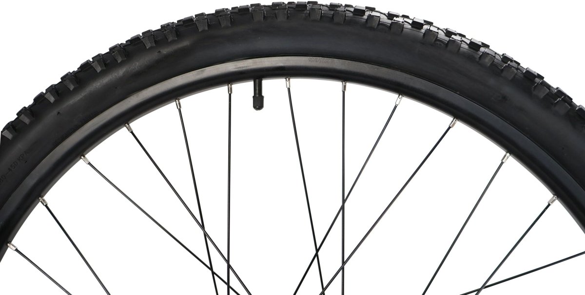 Indiana E-MTB 2.0 M21 Czarny 29"