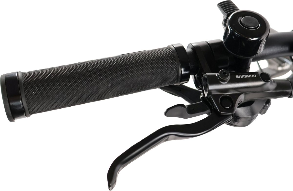 Indiana E-MTB 2.0 M21 Czarny 29"
