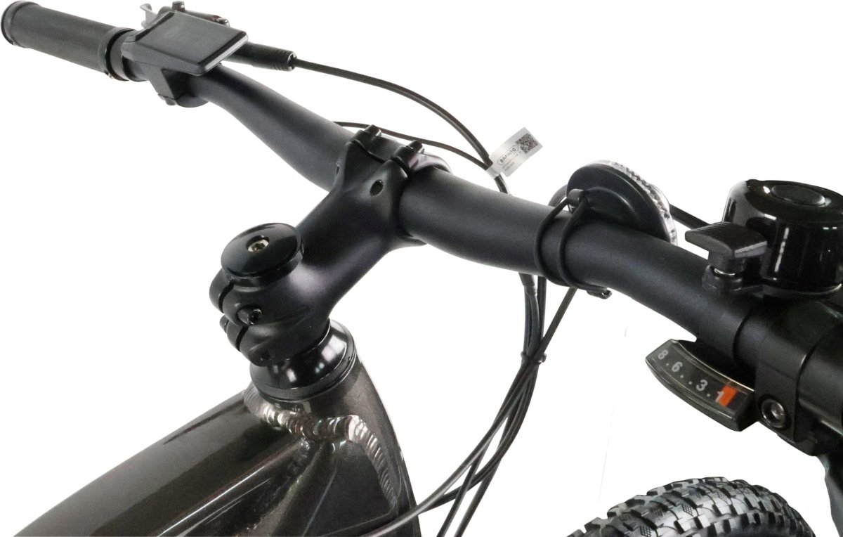 Indiana E-MTB 2.0 M21 Czarny 29"