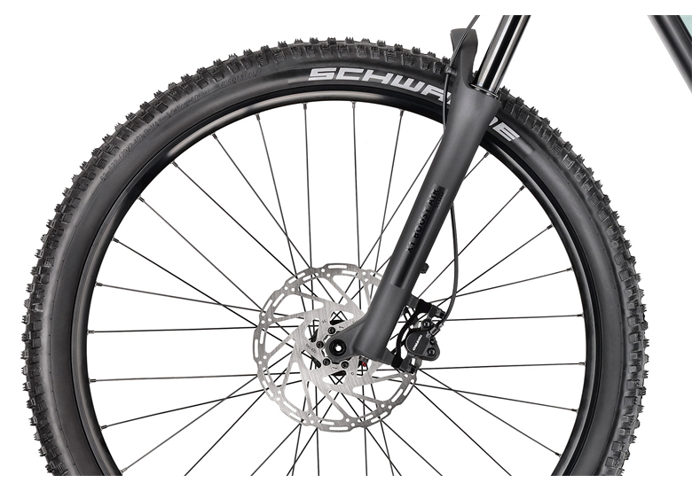 Rower elektryczny R-RAYMON Trailray 120