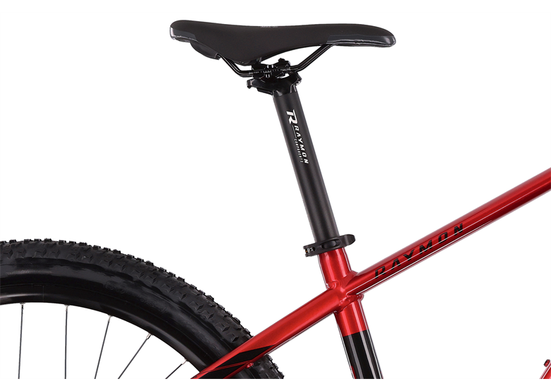 Rower elektryczny R-RAYMON HardRay E 4.0 27.5