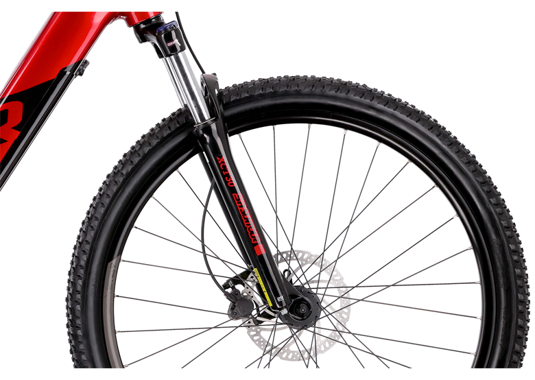 Rower elektryczny R-RAYMON HardRay E 4.0 29