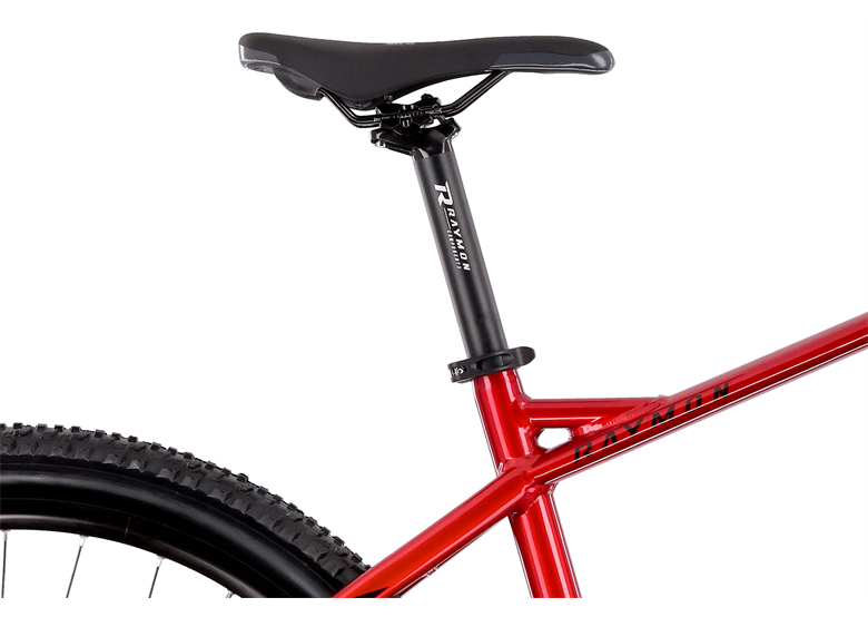 Rower elektryczny R-RAYMON HardRay E 4.0 29