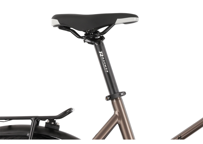 Rower elektryczny R-RAYMON TourRay E 5.0 9S M350