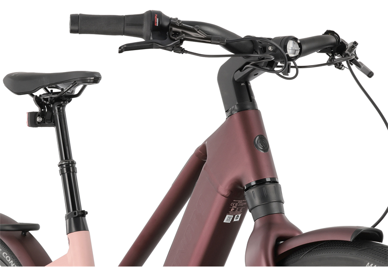 Rower elektryczny WINORA iRide Pure R5f 